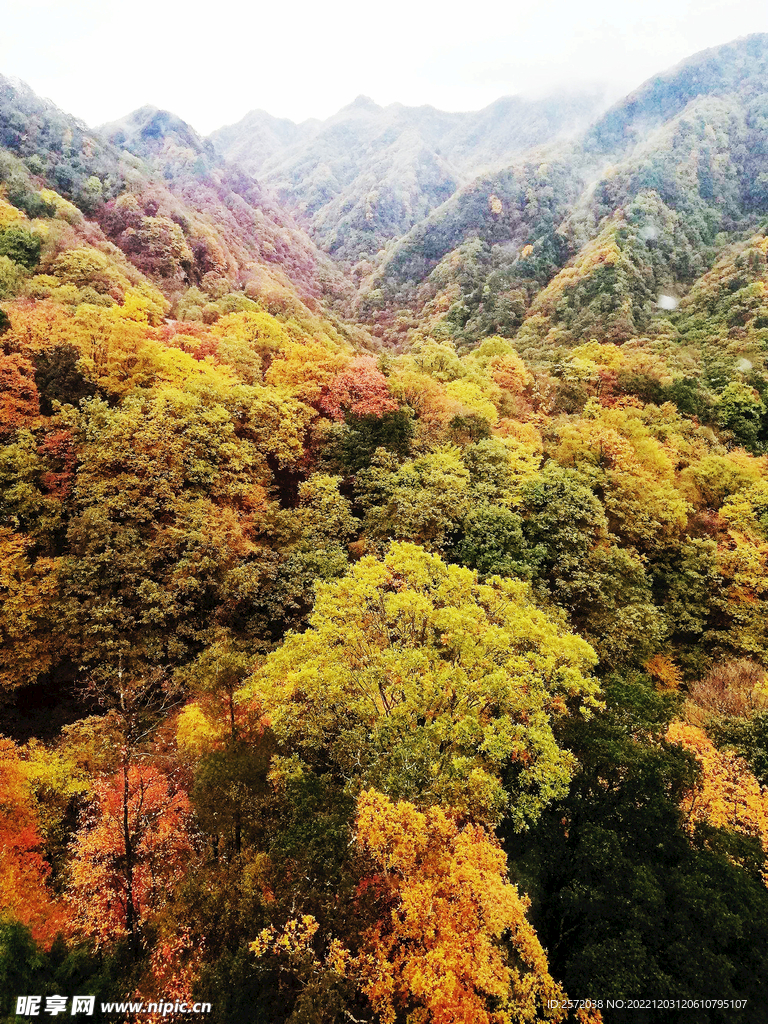 巴中光雾山风光