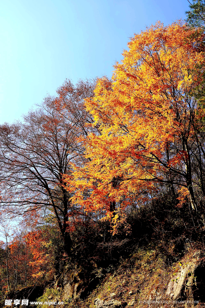 巴中光雾山风光
