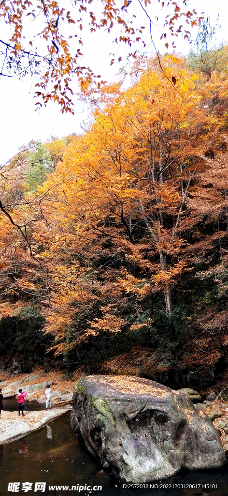 巴中光雾山风光