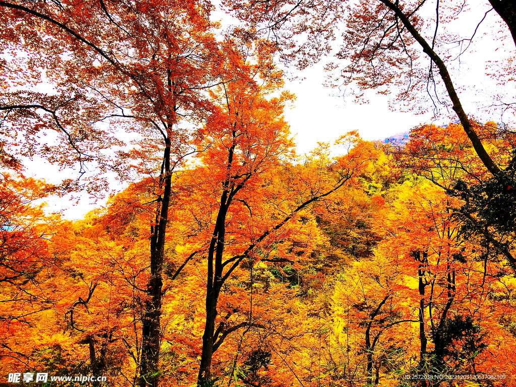巴中光雾山风光