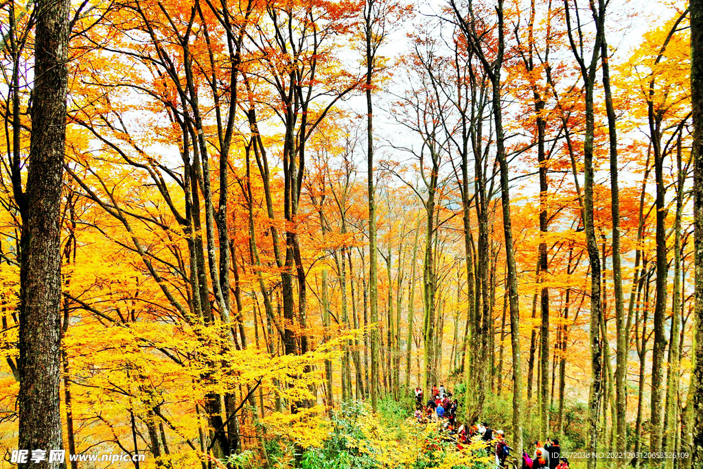 巴中光雾山风光