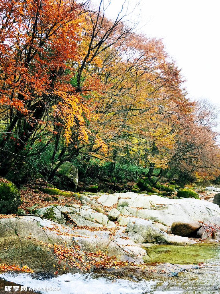 巴中光雾山风光