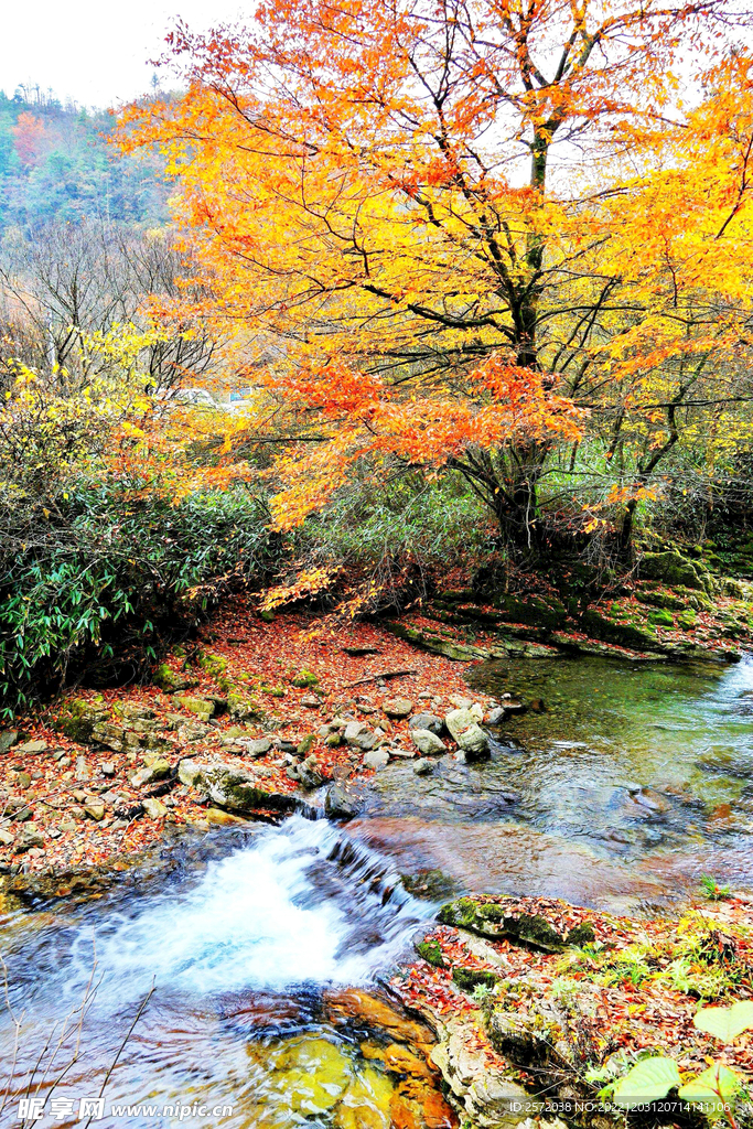 巴中光雾山风光