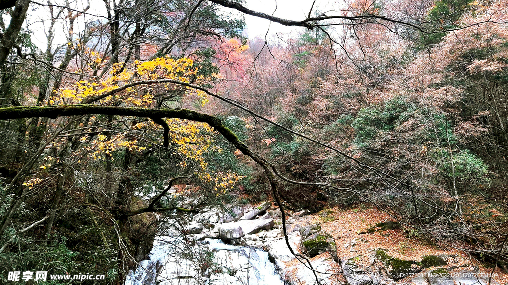 巴中光雾山风光