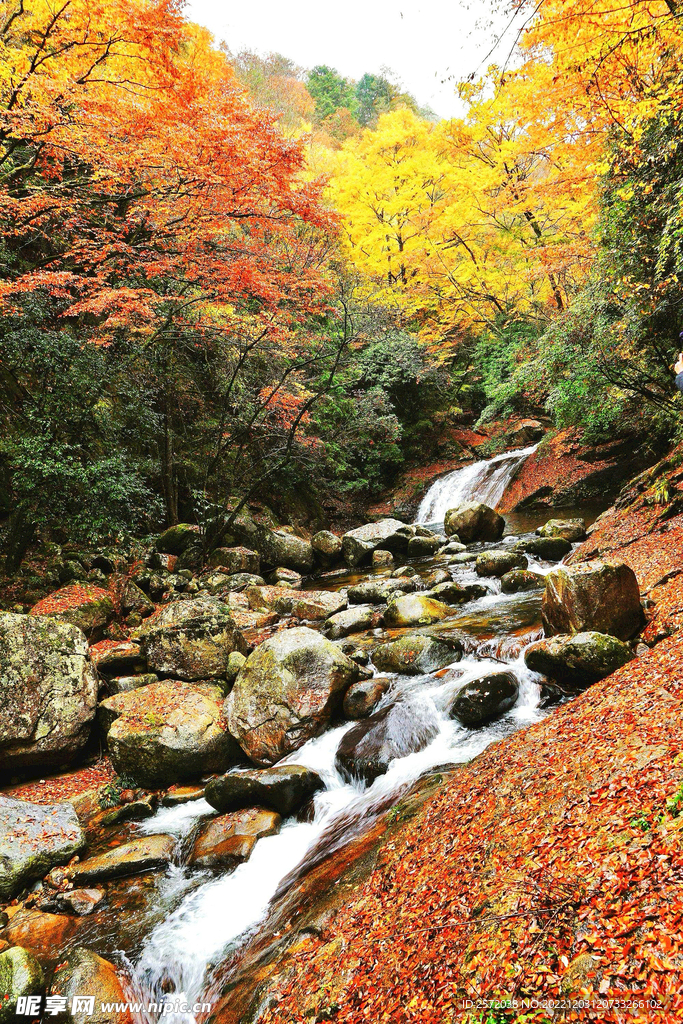 巴中光雾山风光