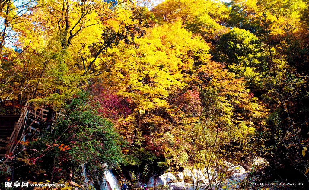 巴中光雾山风光