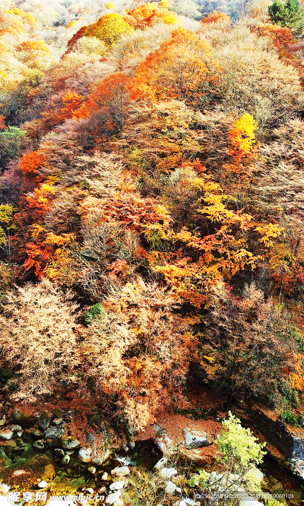 巴中光雾山风光