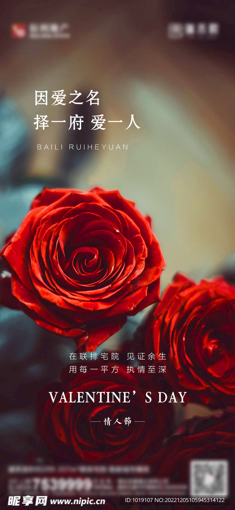 地产情人节单图