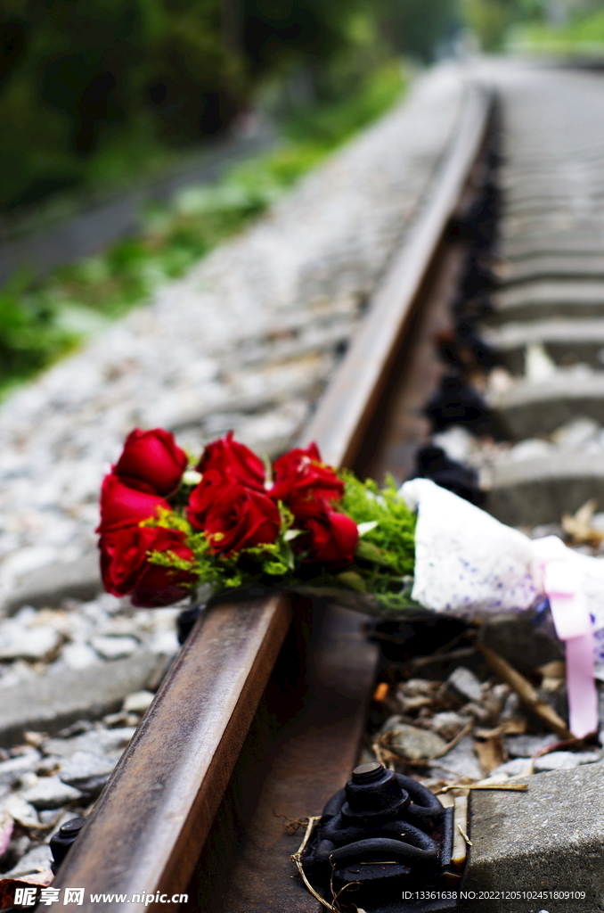 铁路上的玫瑰花