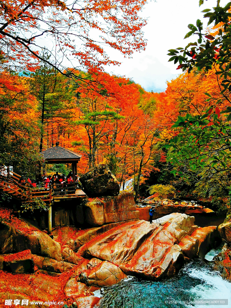 巴中光雾山风光