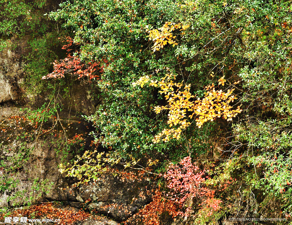 巴中光雾山风光