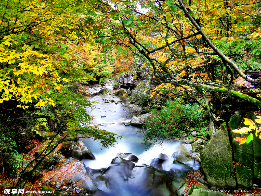 巴中光雾山风光