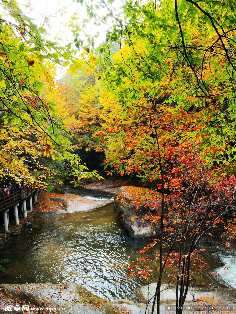 巴中光雾山风光