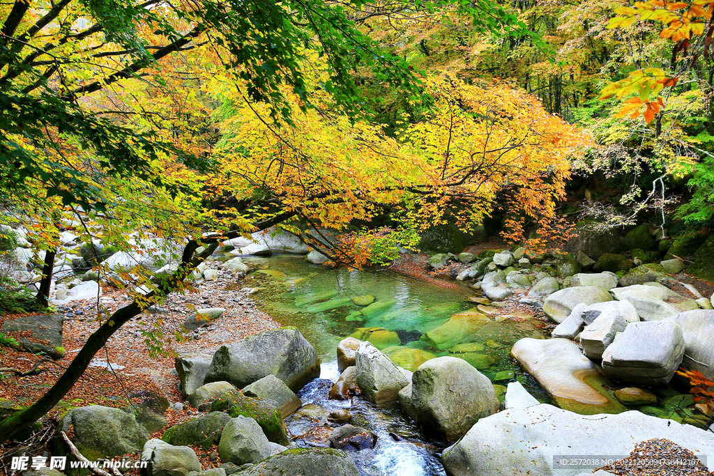 巴中光雾山风光