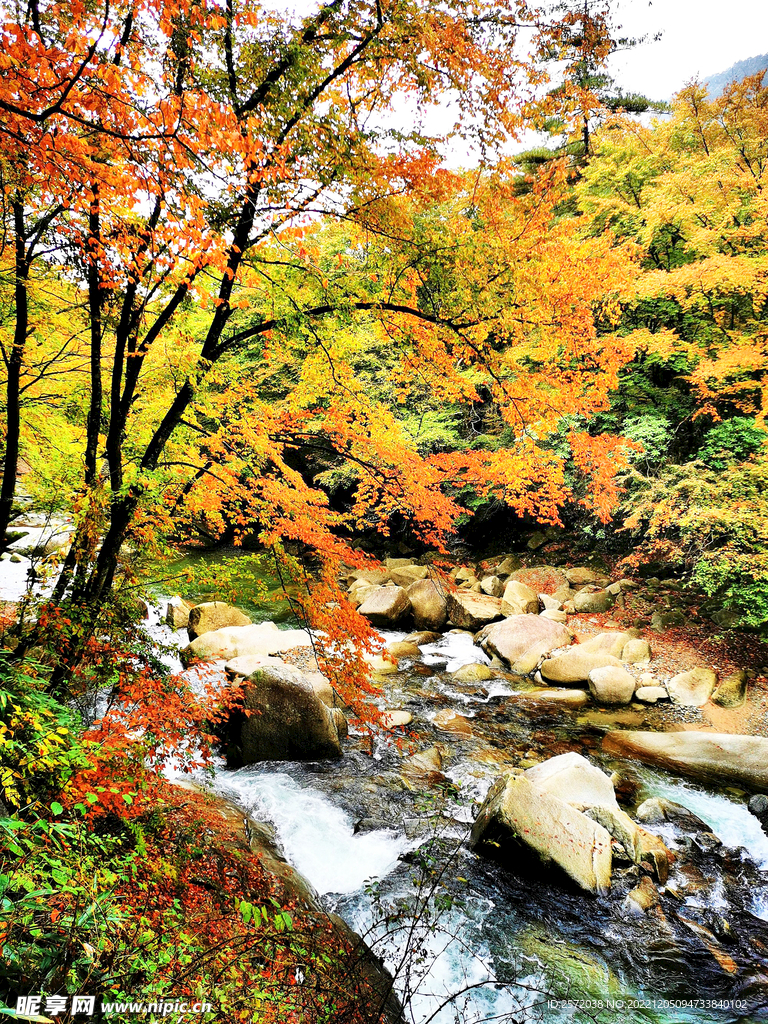 巴中光雾山风光