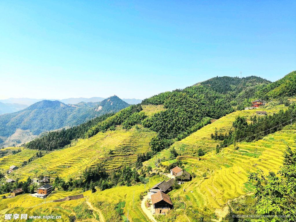 新化紫鹊界梯田