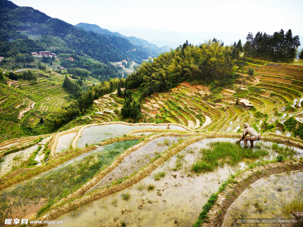 新化紫鹊界梯田