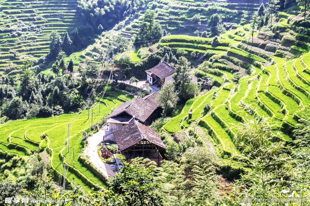 新化紫鹊界梯田