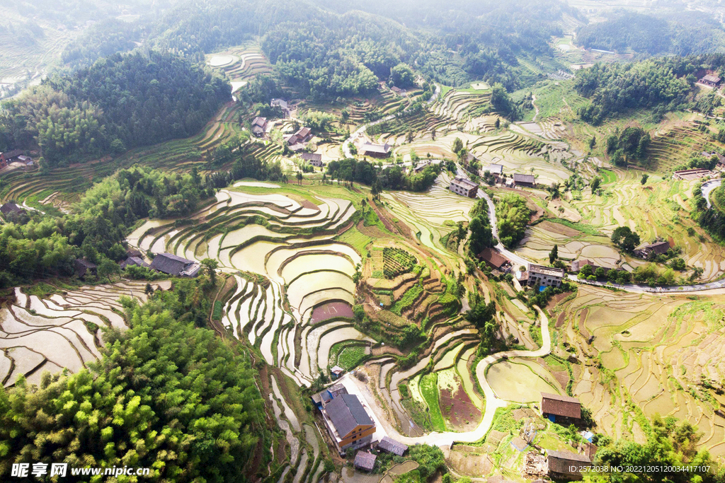 新化紫鹊界梯田
