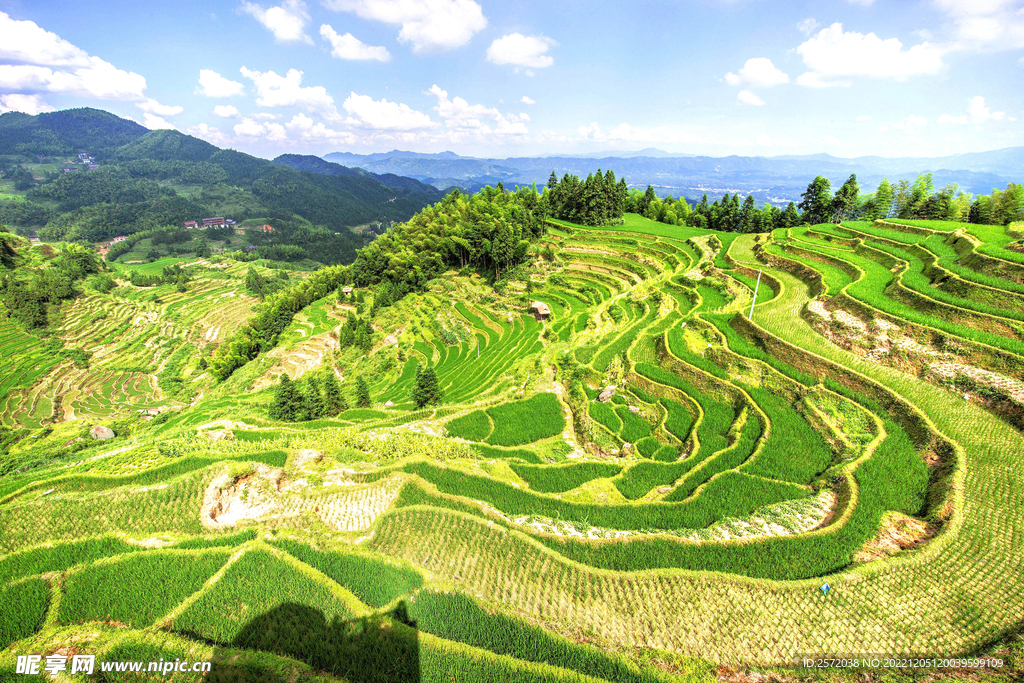 新化紫鹊界梯田