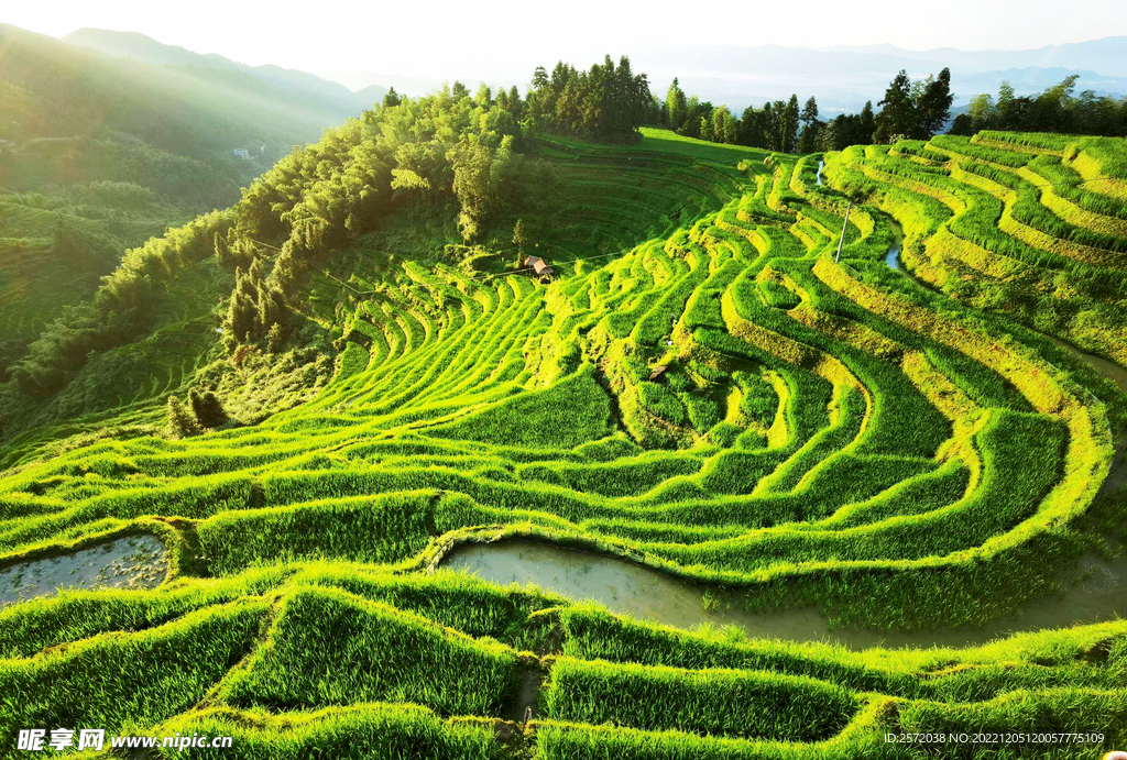 新化紫鹊界梯田