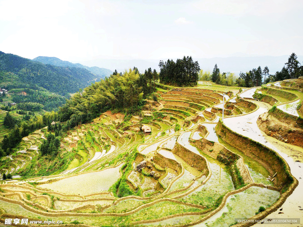 新化紫鹊界梯田