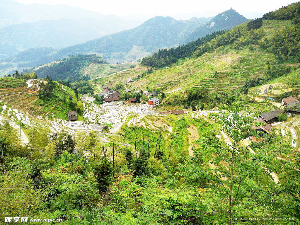 新化紫鹊界梯田