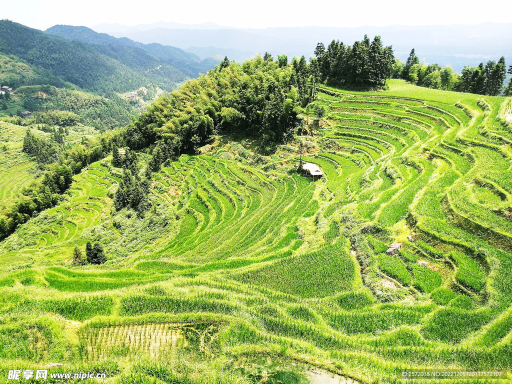 新化紫鹊界梯田