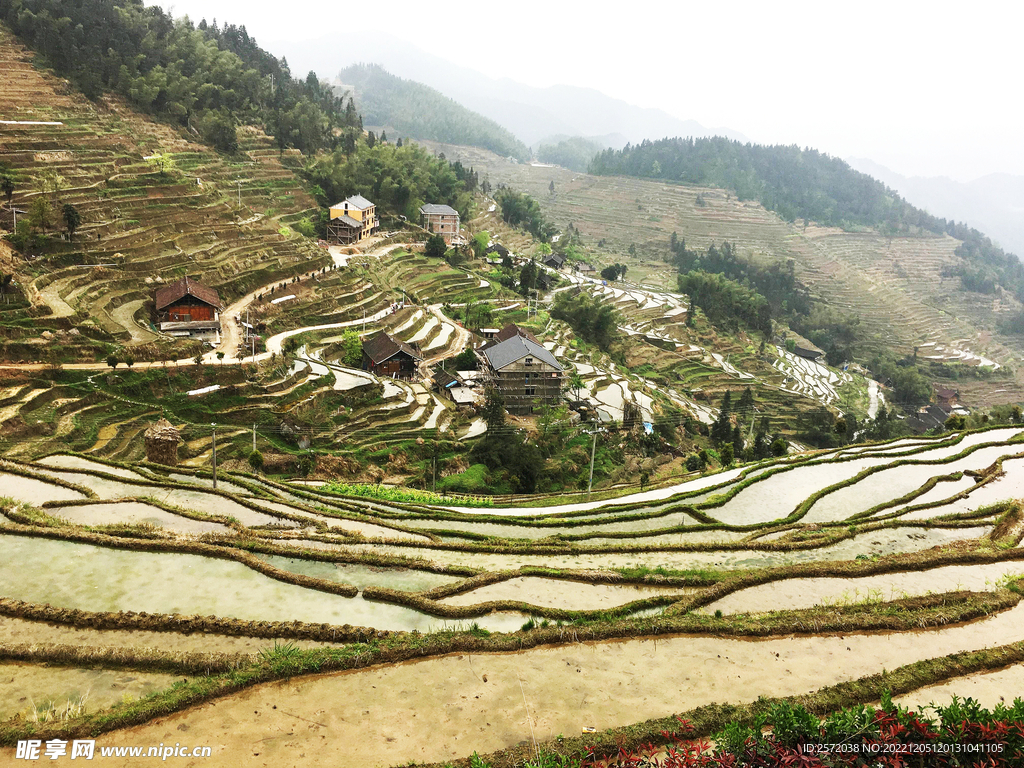 新化紫鹊界梯田