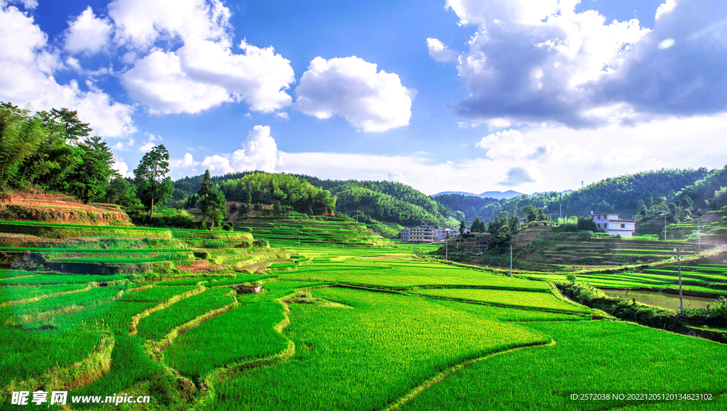 新化紫鹊界梯田