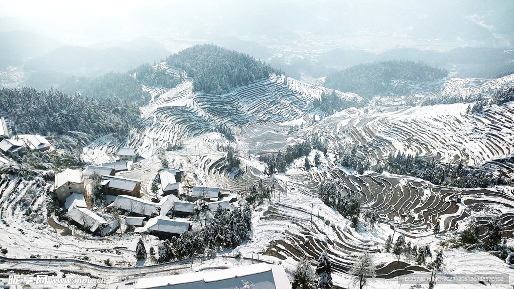 新化紫鹊界梯田