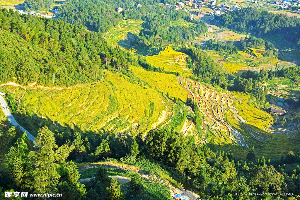 新化紫鹊界梯田