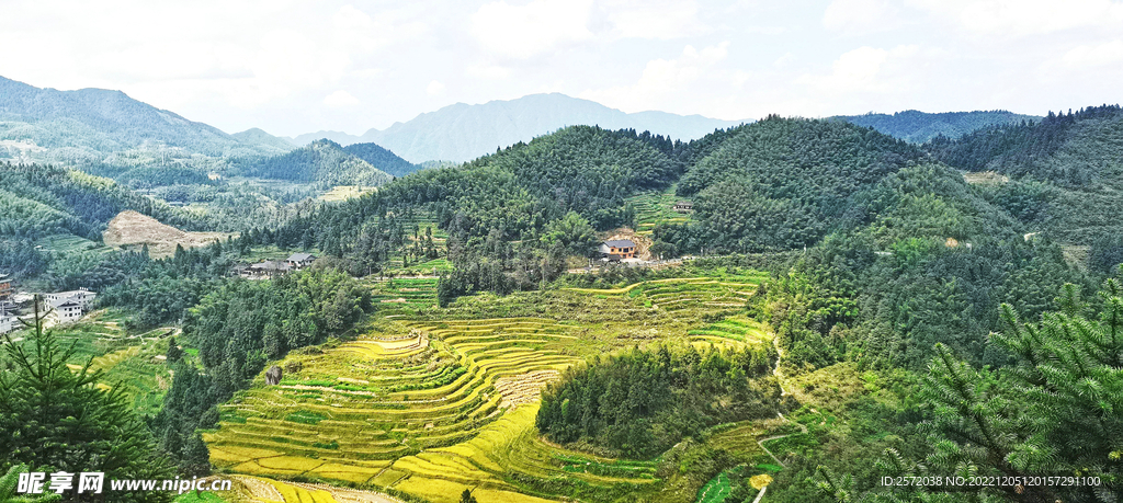 新化紫鹊界梯田