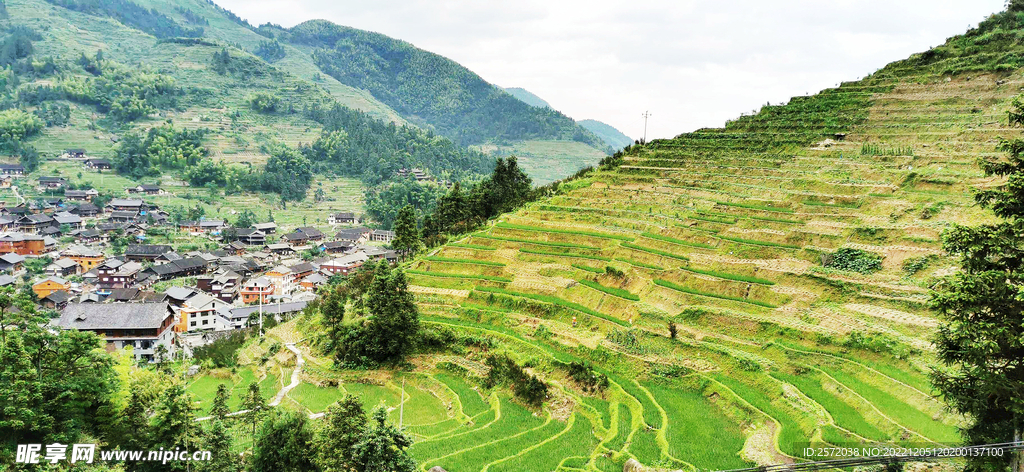 新化紫鹊界梯田