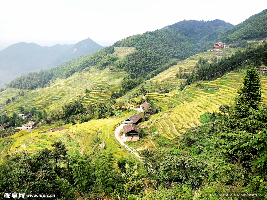 新化紫鹊界梯田