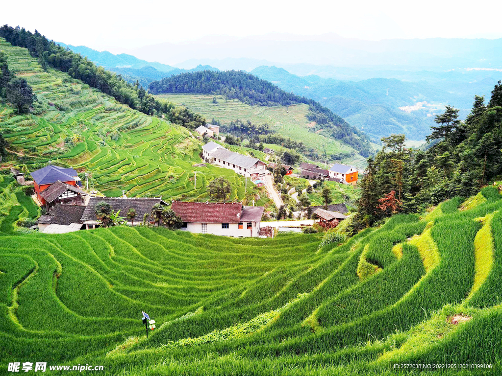 新化紫鹊界梯田