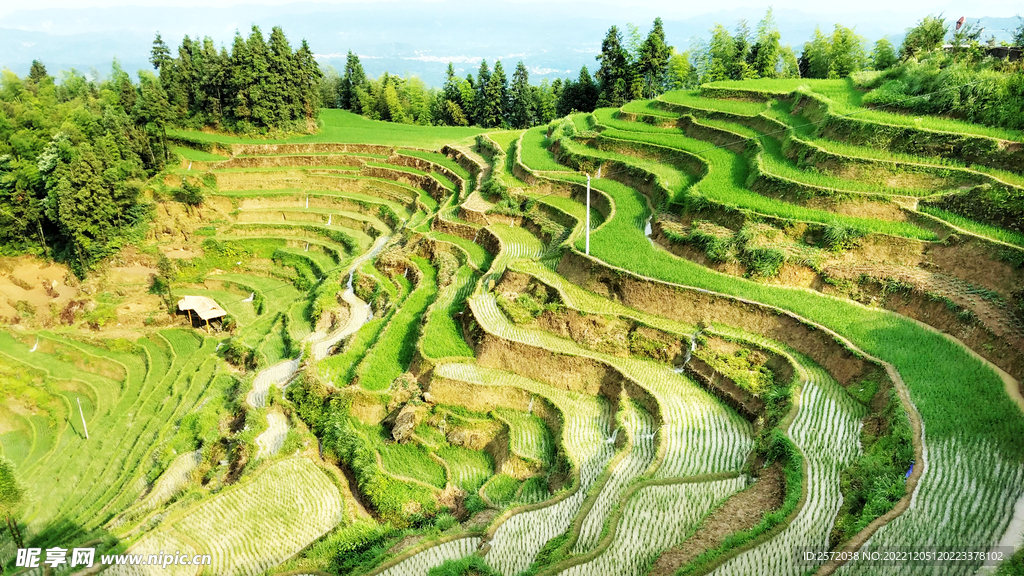 新化紫鹊界梯田