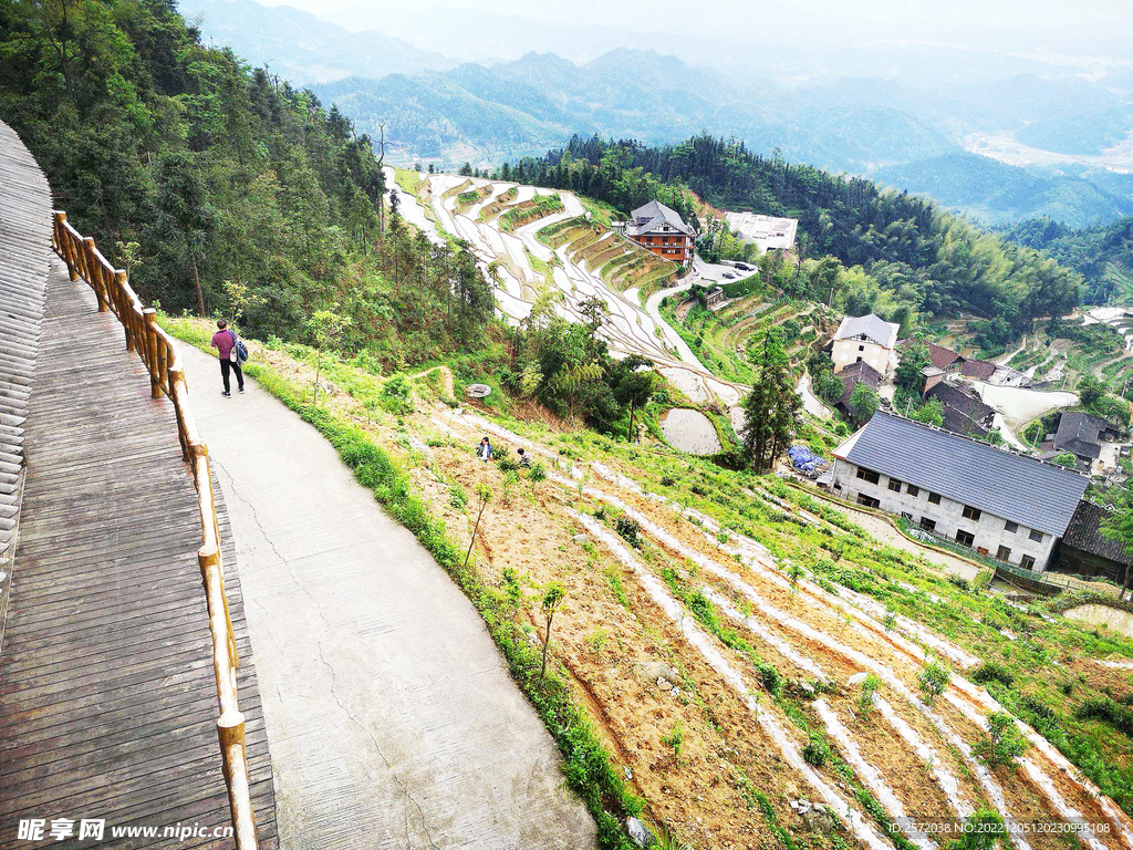 新化紫鹊界梯田