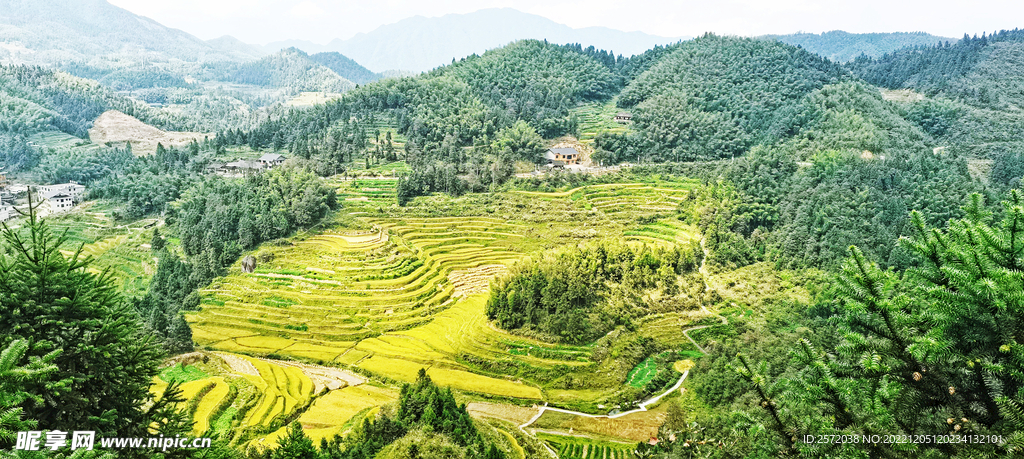 新化紫鹊界梯田