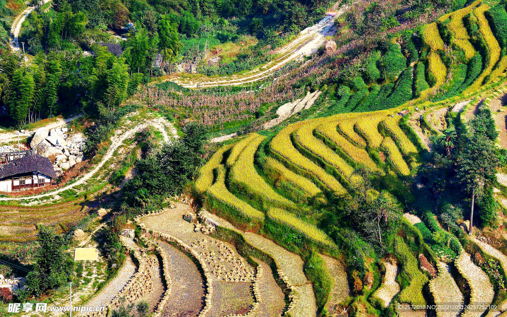 新化紫鹊界梯田