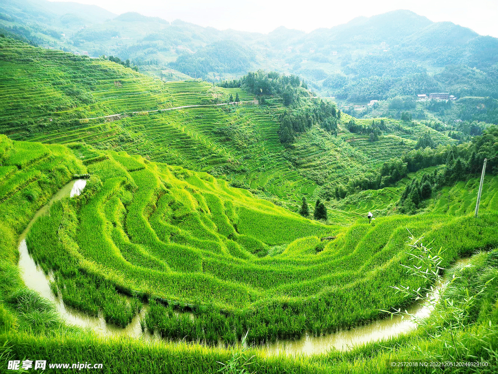 新化紫鹊界梯田