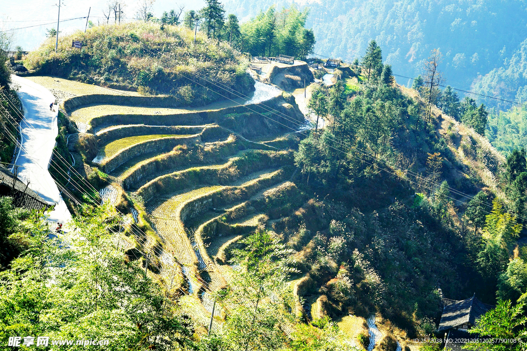 新化紫鹊界梯田