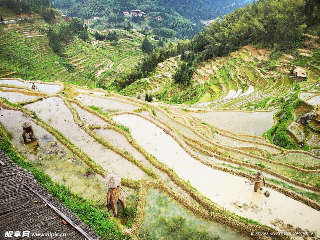新化紫鹊界梯田