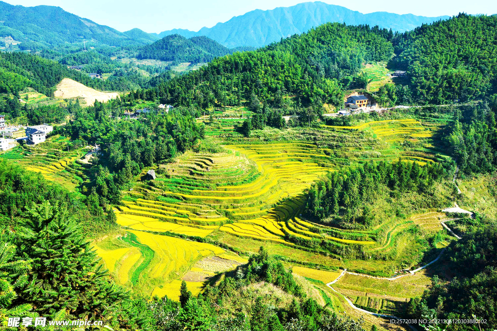 新化紫鹊界梯田