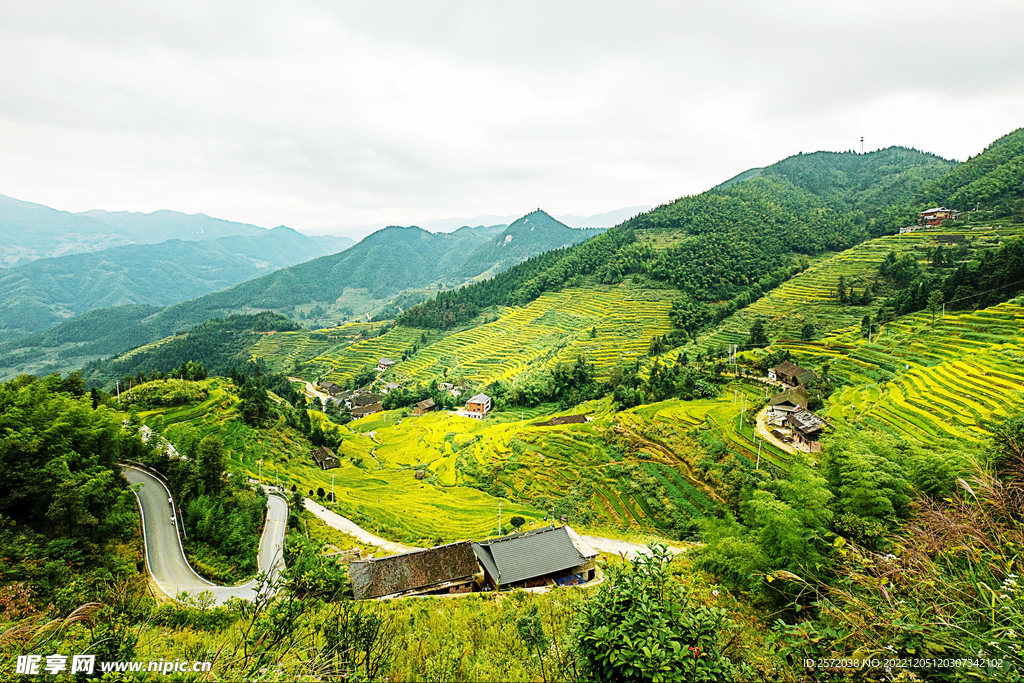 新化紫鹊界梯田
