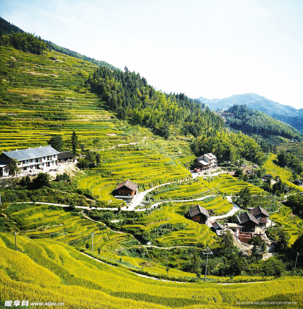 新化紫鹊界梯田