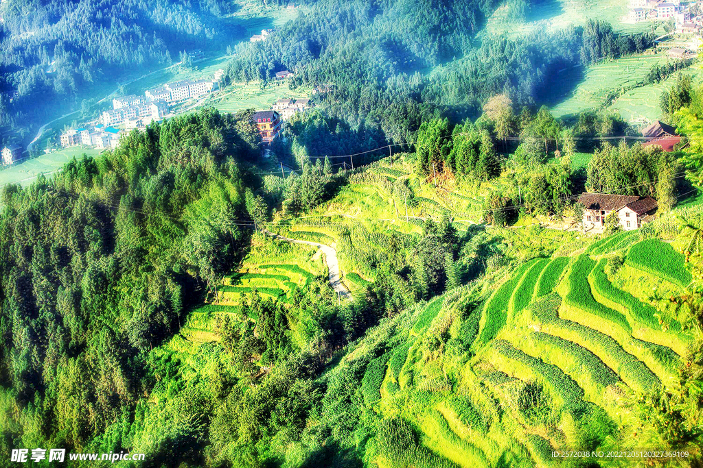 新化紫鹊界梯田