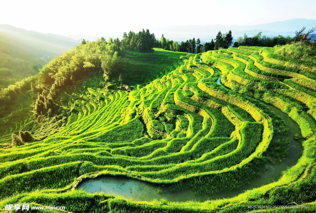 新化紫鹊界梯田