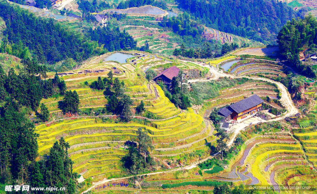 新化紫鹊界梯田