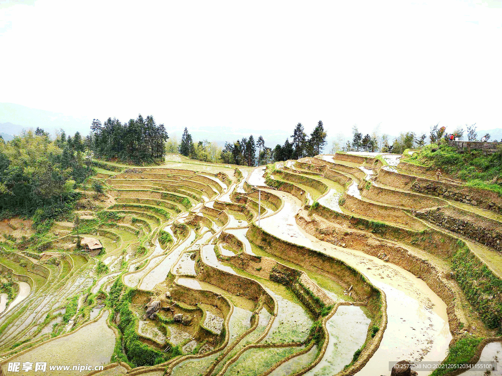 新化紫鹊界梯田